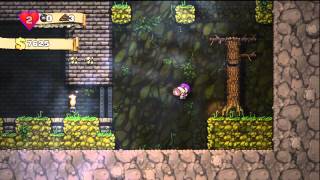 Spelunky Guide Journal Completion - Haunted Castle, Hidden Character