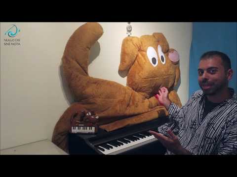 Poli il Polipo - Il Fantasma a Mezzanotte - Nullo Die Sine Nota