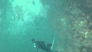 UM MERGULHO CAÇA SUB NA PRAIA DAS CASTANHEIRAS EM GUARAPARI