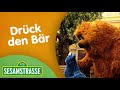 Sesamstraße Folge 2971 Drück Den Bär Sesamstraße NDR
