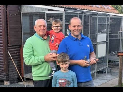 Video Dreampigeons op bezoek bij Bert en Raoul Penne Nederhasselt (B)