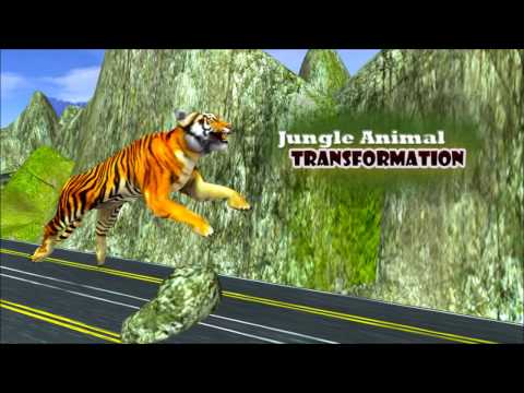 Jungle Animals Transformation Video