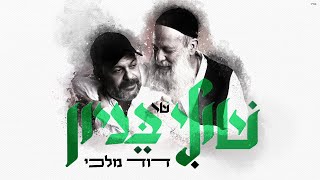 שולי רנד - דוד מלכי