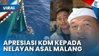 Apresiasi Dedi Mulyadi kepada Nelayan Malang yang Selamatkan Hiu Paus: Terima Kasih Sudah Jaga Laut