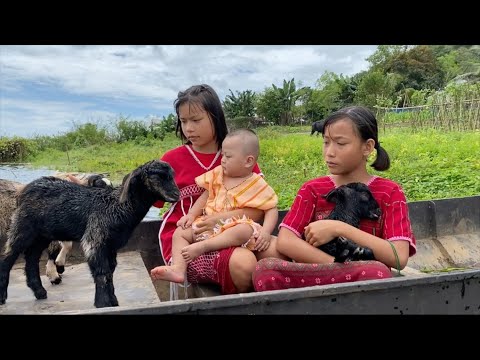 Provide Safe & Loving Home to 130 Children