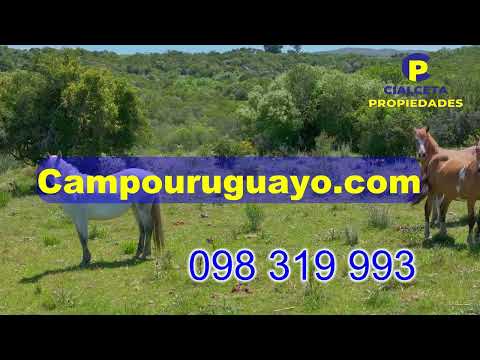 Chacras de 5 hectáreas en Las Cañas, Maldonado, NO DISPONIBLE