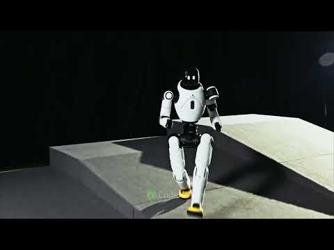 AgiBot X1 Review Video 1