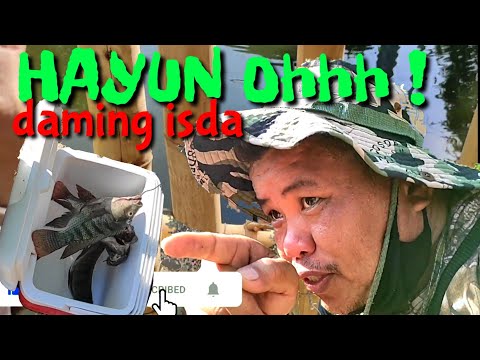 NAKADALI DIN SA TAG ARAW ANG DAMI ISDA, unang ahon. part 1