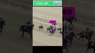【기수소개】 CC Wong 씨씨웡