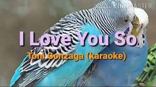 I LOVE YOU SO (karaoke) toni gonzaga