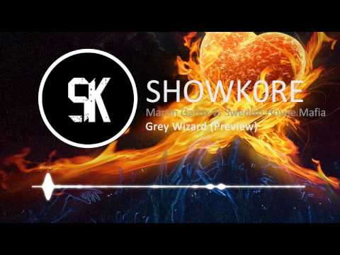 SHOWK0RE - MARTIN GARRIX vs SWEDISH HOUSE MAFIA - Grey Wizard (PREVIEW)