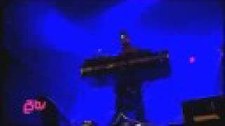 Animal Collective - My Girls  (Live @ Hove Festival 2008)