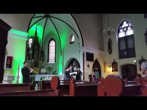 Kwartet Beau Ton / Marcin Stefaniak