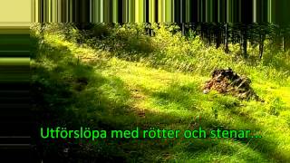 preview picture of video 'Terrängcykling på Romeleåsen'