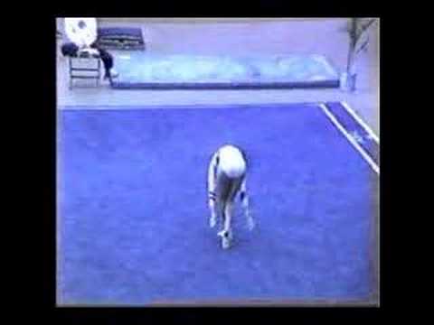 Jennifer Sey Compulsory Floor Exercise 1987