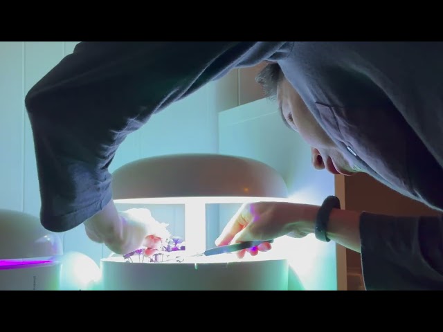 Judge.me YouTube video placeholder