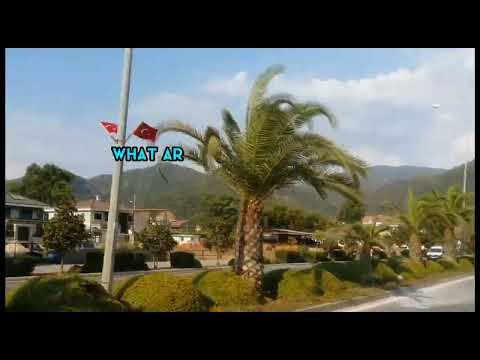 Allah doesn't need you to pray #muslims #islam #allah #quran #islamicvideo