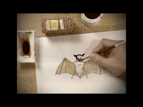 And Now... How To Paint a Bat with Marcel Dzama