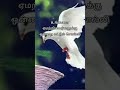 Yematram Vazhkai Thathuvangal 47 Tamil Shorts