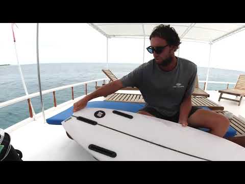 Board Bible Sled Review - Gen4