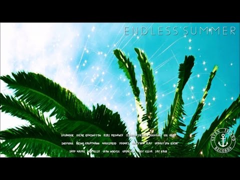 Indysoul - Winter Interlude (Original Mix/Snippet)