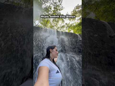 CASCADA La Blanca 📍Parque Nacional Yacambú LARA |Sanare