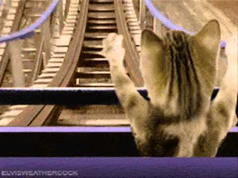 Santana Brothers - The Trip