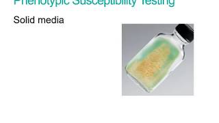 Phenotypic susceptibility testing for Mycobacterium tuberculosis