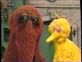 Sesame Street 3886 Rosita Looks For A Best Friend