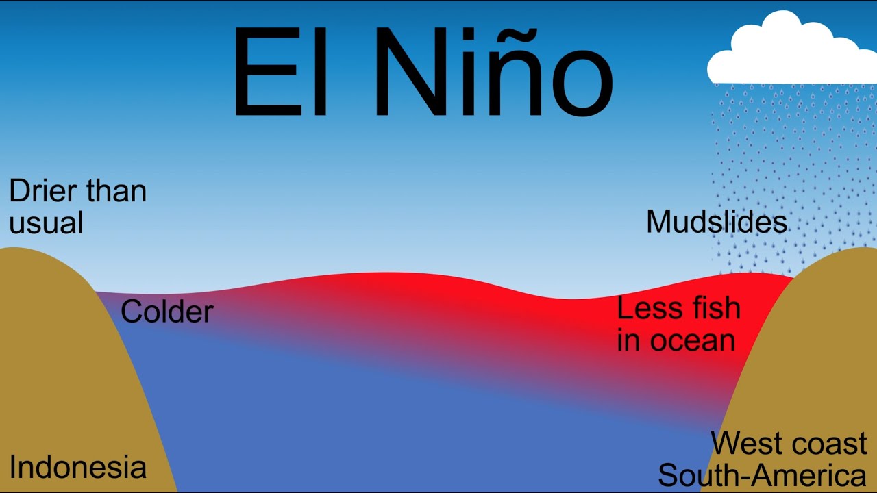 What is El Niño (ENSO)?