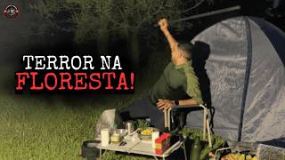 8 Descobertas Perturbadoras em Florestas Isoladas Registradas por Câmeras