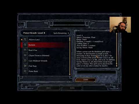 Baldur's Gate Divine Spell Guide Level 2