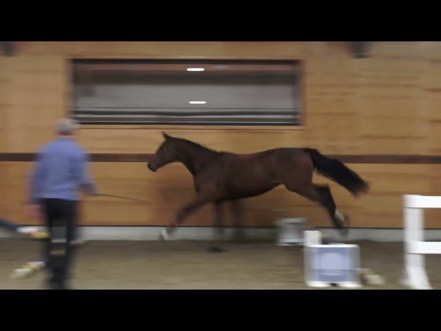 jumping