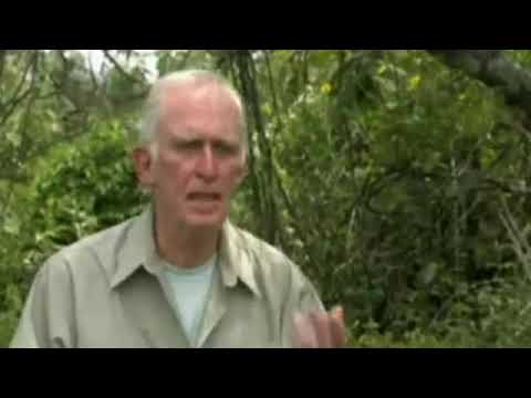 The Belyaev experiment: a brief introduction