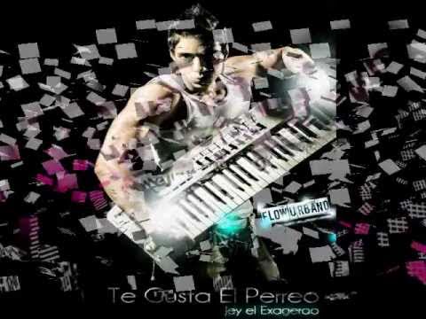 Jey 'El Exagerao' - Te Gusta El Perreo (MBN Records)
