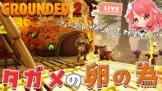 【Grounded 2】#25 タガメの卵GETしましたが、素材もポイントも足りない！！