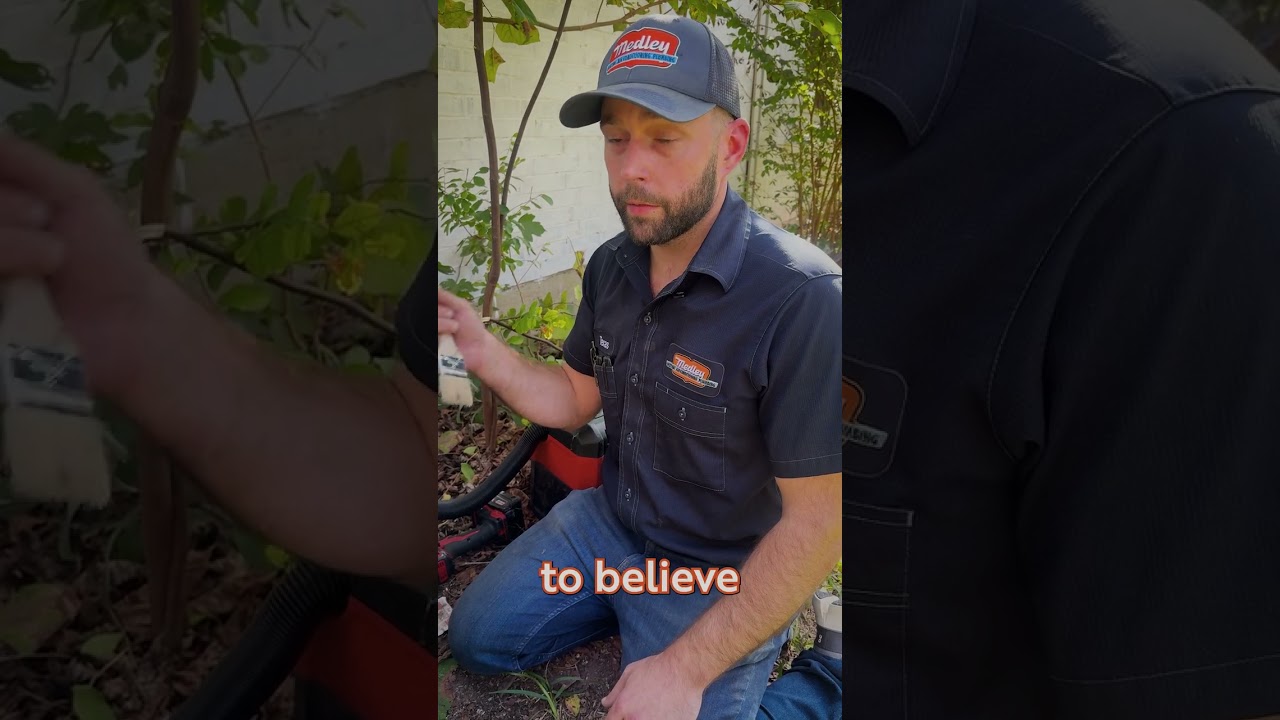 The System That Won’t Quit