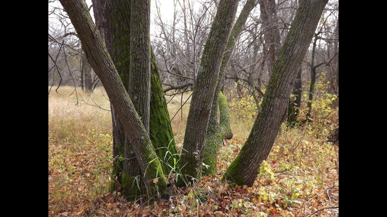 Vinyl Drum and Bass Mix October 2025 ~ early 2000's thru 2025 ~ Anything Goes!!