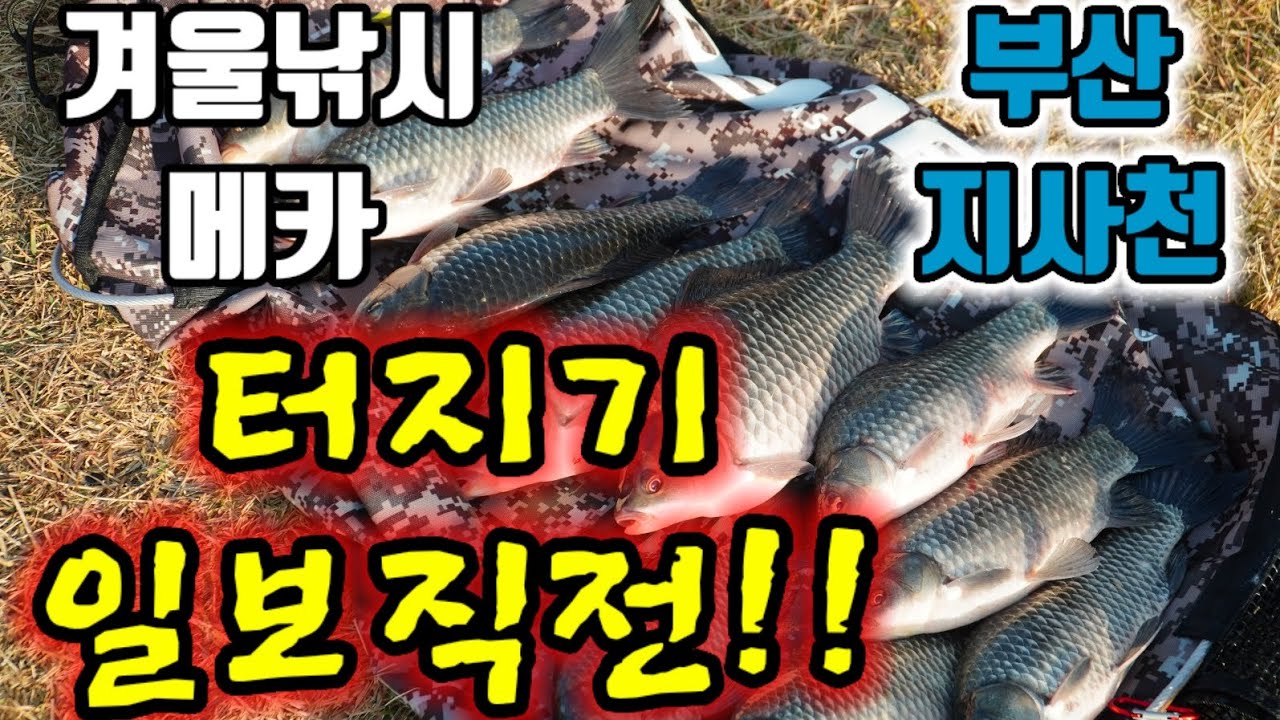 부산 지사천 지금부터 시작입니다!