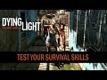 DYING LIGHT - Test Your Survival Skills.