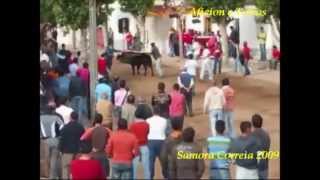 preview picture of video 'Especial Largadas de Toiros em Samora Correia 2009 Feira Anual e Semana Taurina'