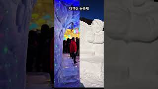 Winterfest in Taebaek, der Schneeblumenstadt❄️ Skulpturen und Lachen blühen gemeinsam auf dem Schneefeld.#태백눈축제 #태백여행 #겨울축제 #강원도 #눈꽃세상 #국내여행