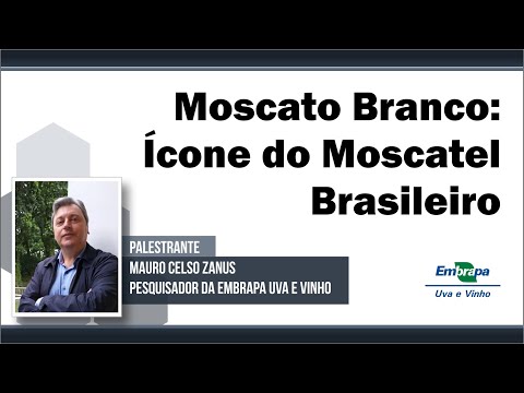 , title : 'Moscato Branco: Ícone do Moscatel Brasileiro'