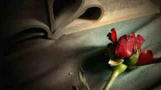 Bronco 😍Cosas Del Corazon😘