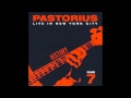 Jaco Pastorius - Bass solo/Amerika - Live in New York