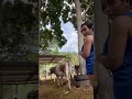 Dress Change Boobs Show