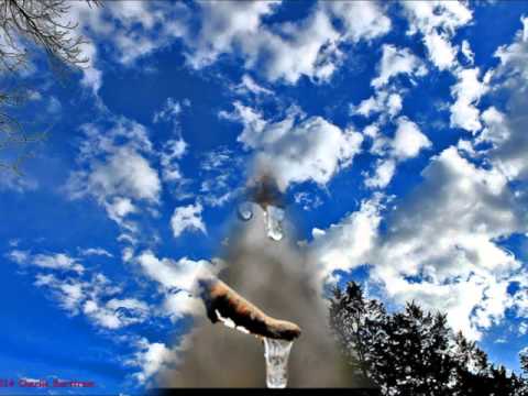 Don Henley, Miranda Lambert & Mick Jagger - "Bramble Rose"