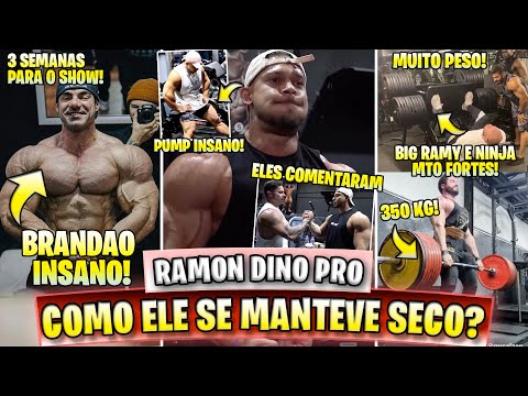 COMO RAMON SE MANTEVE SECO? CARIANI E RAMON COMENTAM! BRANDAO IMPRESSION! RAMY E NINJA TREINO PESADO