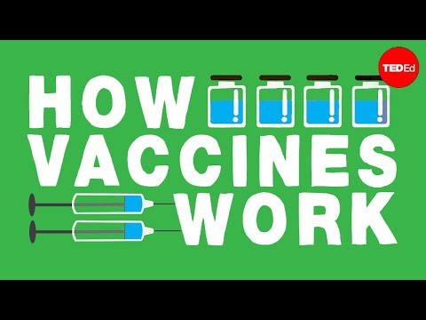 How Vaccines Actually Work