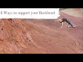 3 Ways To Support Your Backbend Mystrengthability